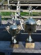 SB_DT2000_trophy_A_indx.jpg (4440 bytes)